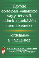 Teljesítésigazolási Szakértői Szerv